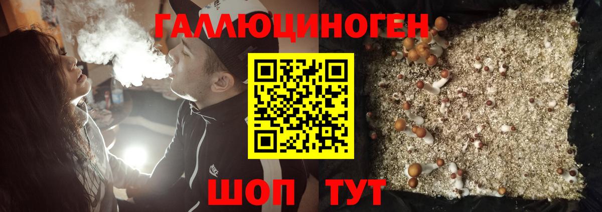 Галлюциногенные грибы Magic Shrooms Новотроицк